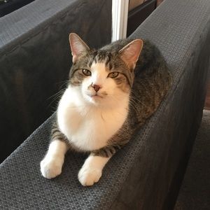 Meet your Posher, Mackenzie